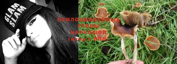 марки lsd Чердынь