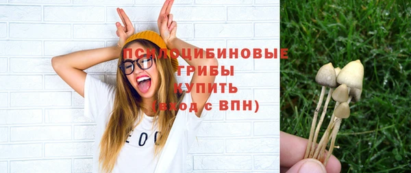 тгк Чекалин