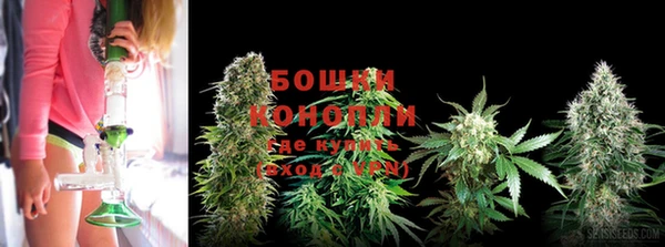 тгк Чекалин