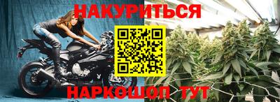 ALPHA PVP Камышлов