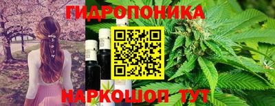 2c-b Кандалакша