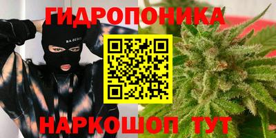 сатива Канаш