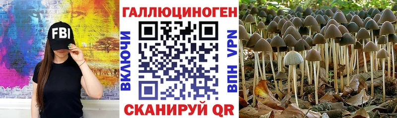 Псилоцибиновые грибы Magic Shrooms  даркнет сайт  Якутск 