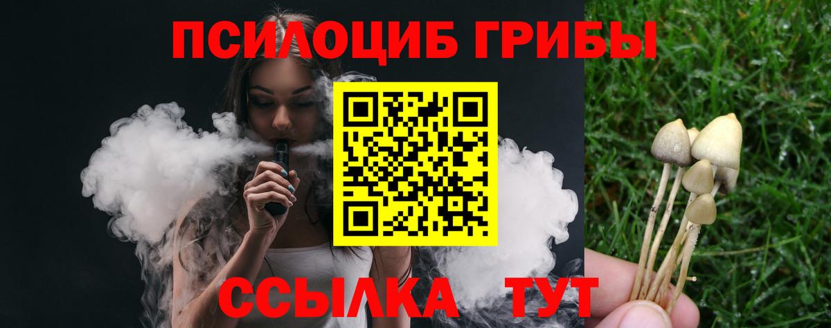 Галлюциногенные грибы Cubensis  Псилоцибиновые грибы Cubensis  Якутск  Вход с VPN 